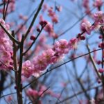 Thumbnail of new posts 194